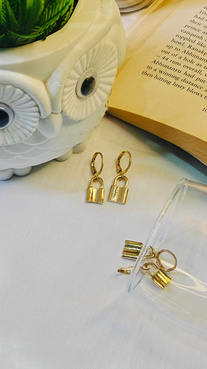 Trendy Charm Earrings (Gold Platted)